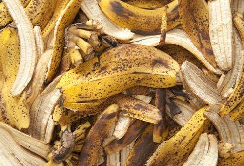Как сделать удобрение из банановой кожуры для комнатных растений? - фото