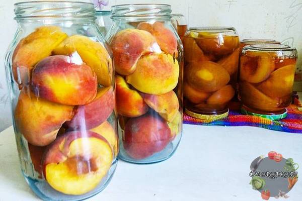 Персики в сиропе на зиму  рецепт самый вкусный, простой и быстрый, в сиропе ... - фото