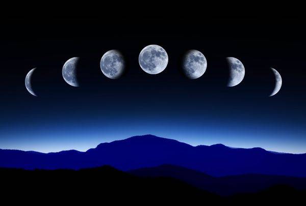 Посадка чеснока по лунному календарю 2017 года - фото