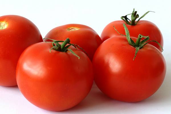 Как правильно ухаживать за помидорами в теплице из поликарбоната? с фото