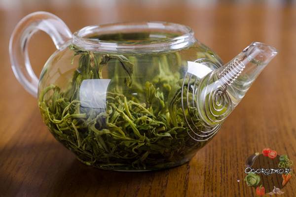 Зеленый чай -  польза и вред, лечебные свойства, как заваривать, для женщин ... - фото